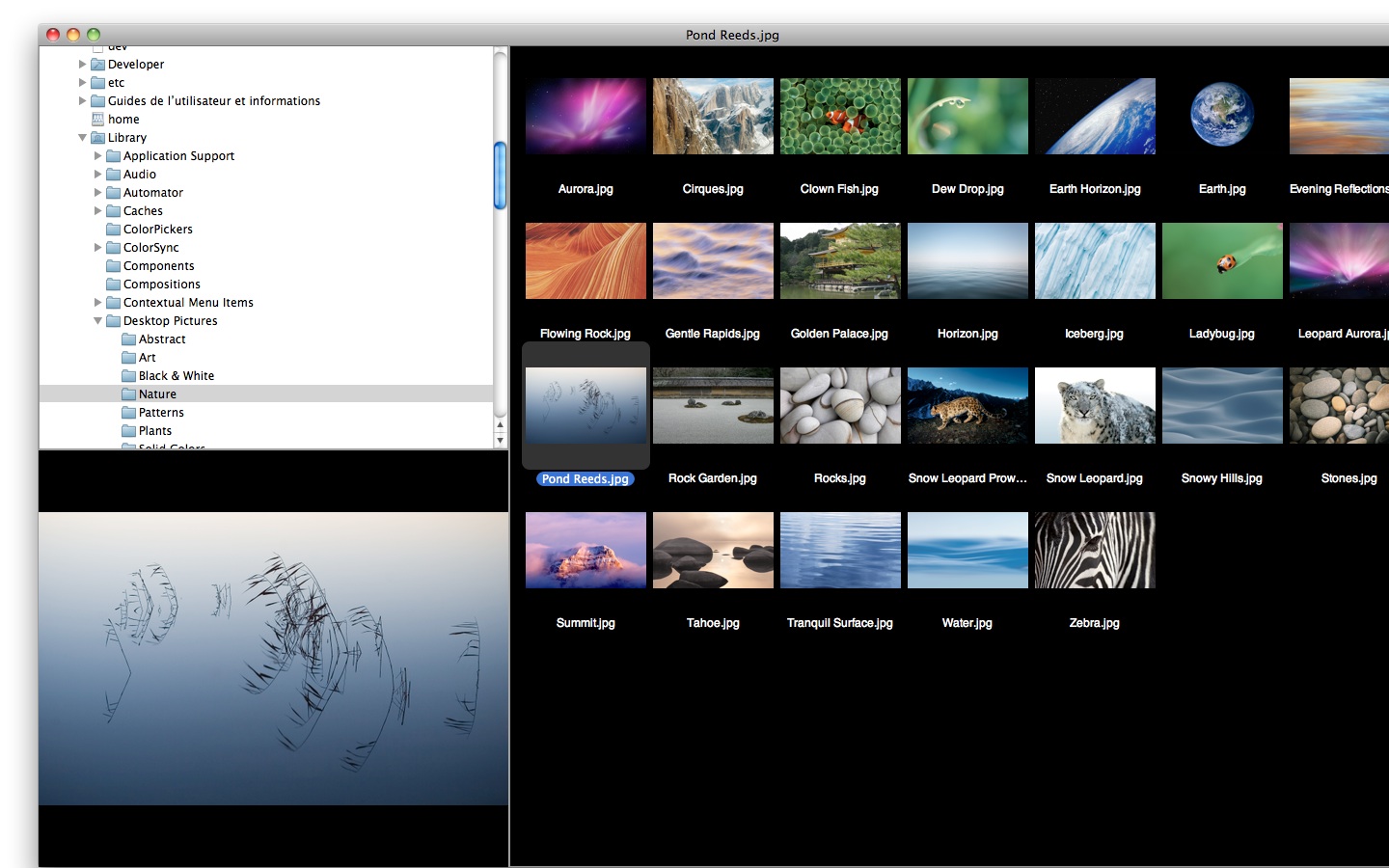 free image viewer for mac os x